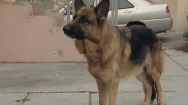 Деньги не пахнут 09.01.2016