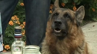 Деревенский детектив 22.11.2014