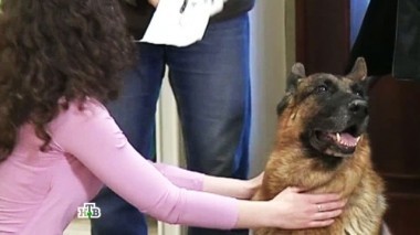 Диван мечты 05.10.2014