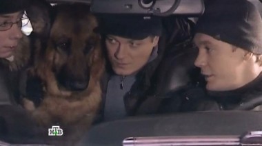 Друзья на проводе 04.01.2018