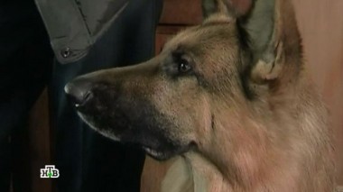 Двойной удар 24.01.2016