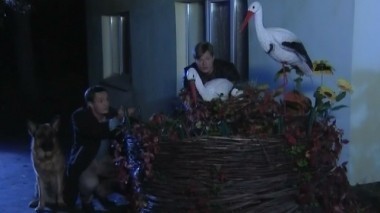 Это вам не игрушки 16.08.2016