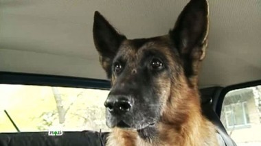 Гастролеры 07.10.2014