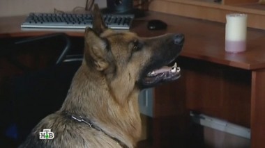 Гори, гори, моя свеча 17.01.2016