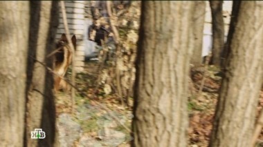 Карточный долг 27.11.2017