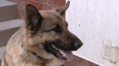 Клонированный друг 01.09.2016