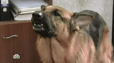 Колеса 25.01.2016