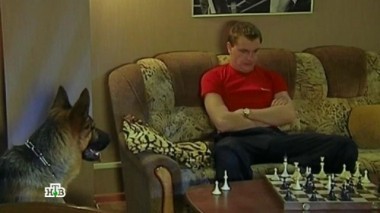 Крыса 08.12.2015