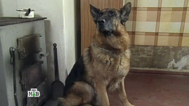 Квартира на день 30.10.2014