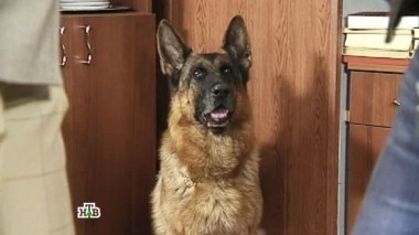 Квартирный вопрос 08.10.2014