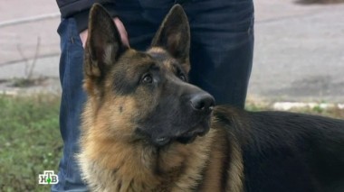 Лекарство 15.10.2017