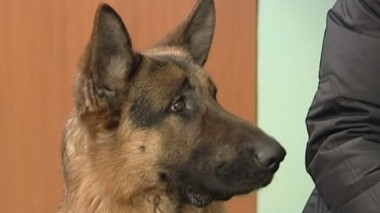 Любитель ремонта 24.08.2016