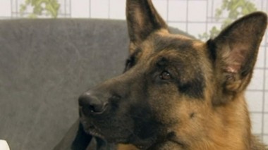 Метеорит 10.11.2016