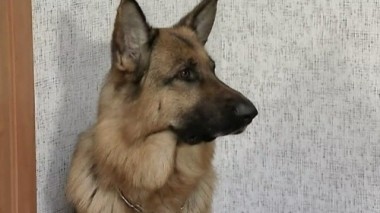 Мой черный человек 22.03.2016