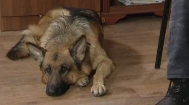 Музейные ценности 24.03.2016