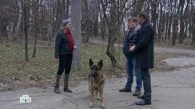 На грани безумия 19.10.2017