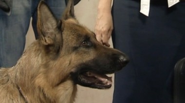 На кончике ампулы 02.07.2017