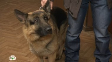 На личном примере 27.11.2016