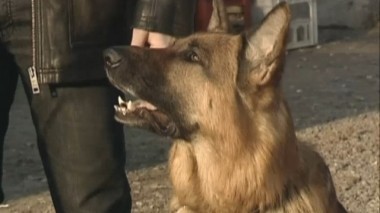 Найти невидимку 16.01.2018