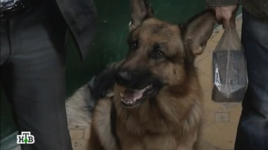 Неожиданная невеста 06.07.2017