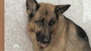 Ночные купания 10.09.2017