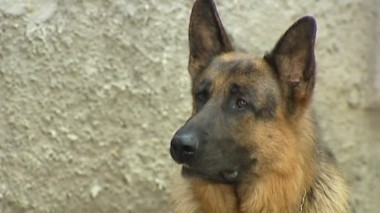 Обманщица 09.10.2016