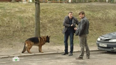 Опасные курсы 20.12.2017