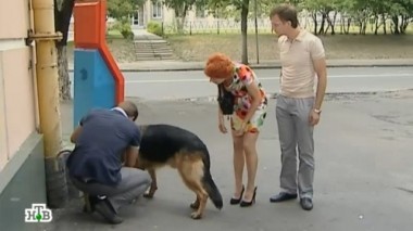 Орден 10.10.2016