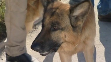 Ошибка киллера 18.08.2016