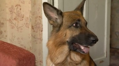 От греха подальше 14.08.2016