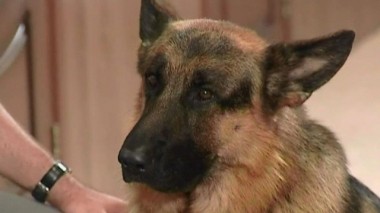 От себя не убежать 02.10.2016