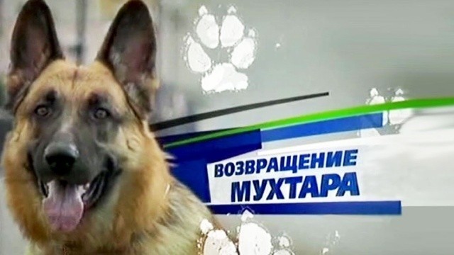 Возвращение Мухтара