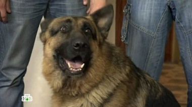 Попутчики 30.11.2017