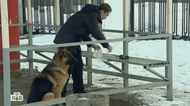 Повторяшка 31.08.2016