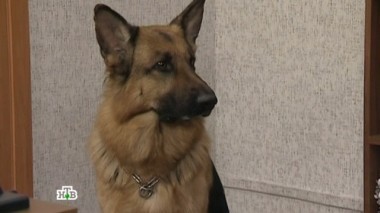 Поздняя любовь 13.03.2016