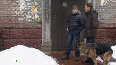 Практическое цветоводство 30.11.2016