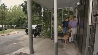 Преступление без потерпевшего 04.08.2016