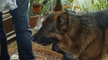 Приз за стрельбу 24.12.2017