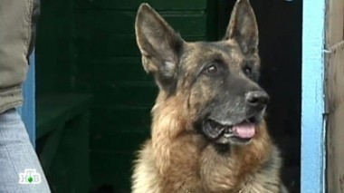 Пропавшая икона 28.10.2014