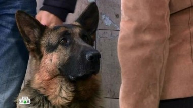 Прыжок 05.11.2017