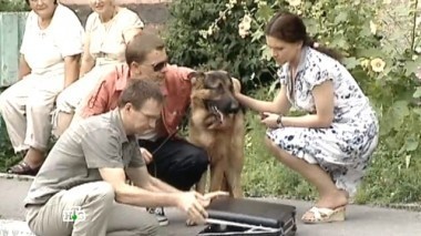 Пыль в глаза 10.12.2015