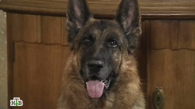 Родственница 23.10.2014