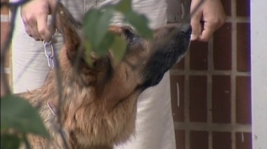 Родственный обмен 07.08.2016