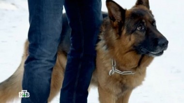 Рогоносец 07.12.2017