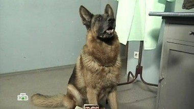 Секс-рабыни 23.10.2014