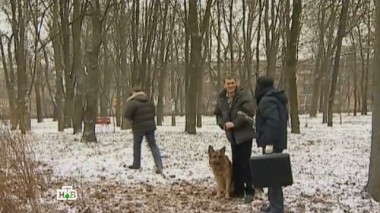 Шаги в темноте 25.02.2016