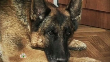 Школа волшебников 05.10.2014