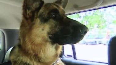 Страховой случай 21.09.2016