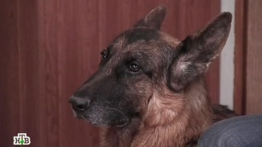 Супружеский долг 22.10.2014