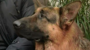 Таинственный незнакомец 03.07.2014